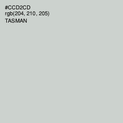 #CCD2CD - Tasman Color Image