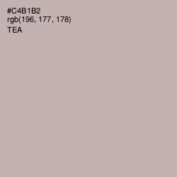 #C4B1B2 - Tea Color Image