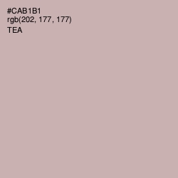 #CAB1B1 - Tea Color Image