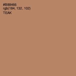 #B88466 - Teak Color Image