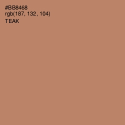#BB8468 - Teak Color Image