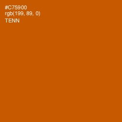 #C75900 - Tenn Color Image