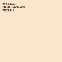 #FBE5CC - Tequila Color Image