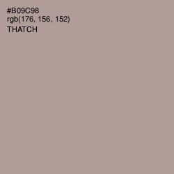 #B09C98 - Thatch Color Image