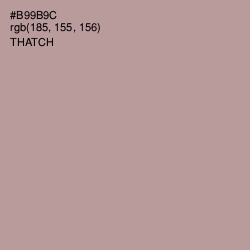 #B99B9C - Thatch Color Image