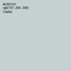 #C5D1D1 - Tiara Color Image