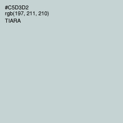 #C5D3D2 - Tiara Color Image