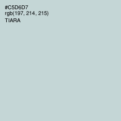 #C5D6D7 - Tiara Color Image