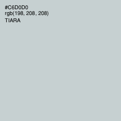 #C6D0D0 - Tiara Color Image