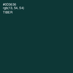 #0D3636 - Tiber Color Image