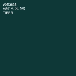 #0E3838 - Tiber Color Image