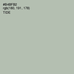 #B4BFB2 - Tide Color Image