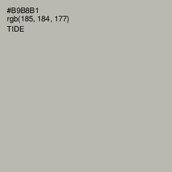 #B9B8B1 - Tide Color Image