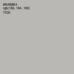 #BAB8B4 - Tide Color Image