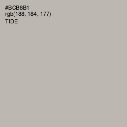 #BCB8B1 - Tide Color Image