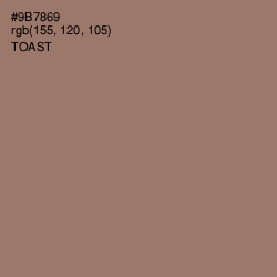 #9B7869 - Toast Color Image