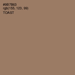 #9B7B63 - Toast Color Image