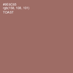 #9E6C65 - Toast Color Image
