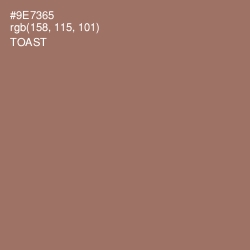 #9E7365 - Toast Color Image