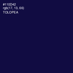 #110D42 - Tolopea Color Image