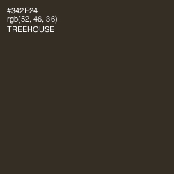 #342E24 - Treehouse Color Image