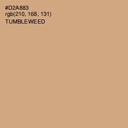 #D2A883 - Tumbleweed Color Image