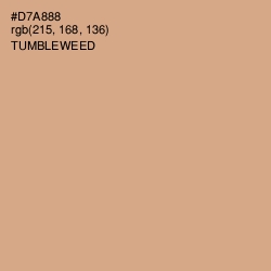 #D7A888 - Tumbleweed Color Image