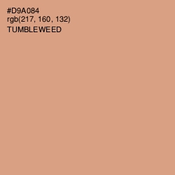 #D9A084 - Tumbleweed Color Image