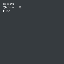 #363B40 - Tuna Color Image