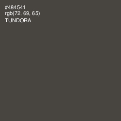#484541 - Tundora Color Image