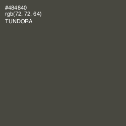 #484840 - Tundora Color Image