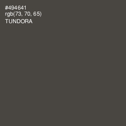 #494641 - Tundora Color Image