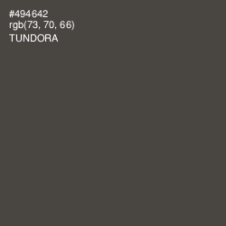 #494642 - Tundora Color Image