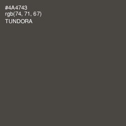 #4A4743 - Tundora Color Image