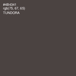 #4B4341 - Tundora Color Image