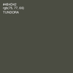 #4B4D42 - Tundora Color Image