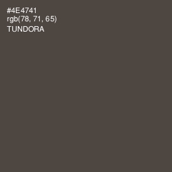 #4E4741 - Tundora Color Image