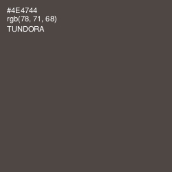 #4E4744 - Tundora Color Image
