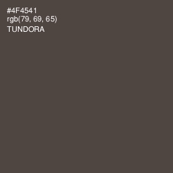 #4F4541 - Tundora Color Image