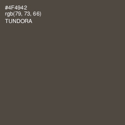 #4F4942 - Tundora Color Image