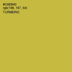 #C6BB40 - Turmeric Color Image