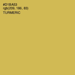 #D1BA53 - Turmeric Color Image