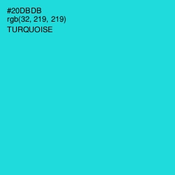 #20DBDB - Turquoise Color Image