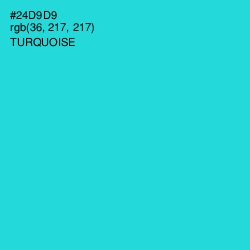 #24D9D9 - Turquoise Color Image