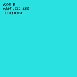 #29E1E1 - Turquoise Color Image