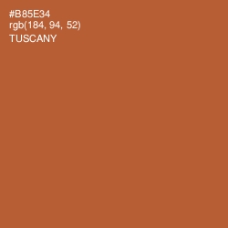 #B85E34 - Tuscany Color Image