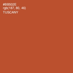 #BB502E - Tuscany Color Image