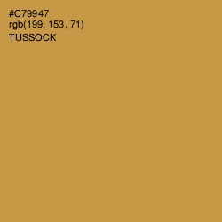 #C79947 - Tussock Color Image