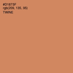 #D1875F - Twine Color Image