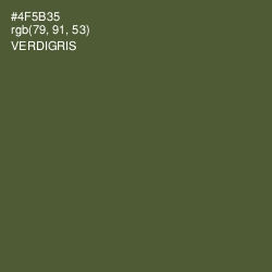 #4F5B35 - Verdigris Color Image